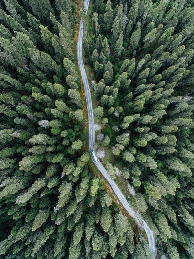 航空摄影之间的车辆在道路的树木
